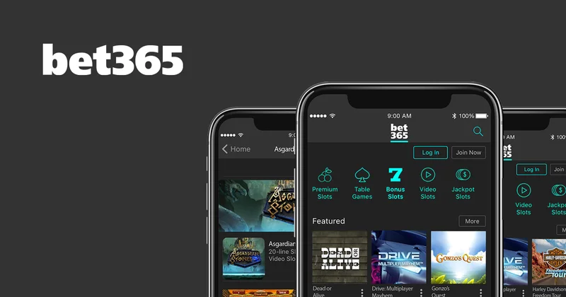 Bet 365 Casino VIP program