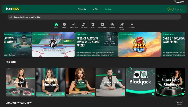 Bet 365 Casino security and banking interface
